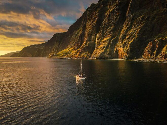 Funchal: Dolphin and Whale Watching Sunset Sailing Tour - Important Information