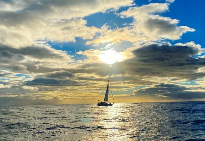 Funchal: Dolphin and Whale Watching Sunset Sailing Tour - Reserve Now & Pay Later