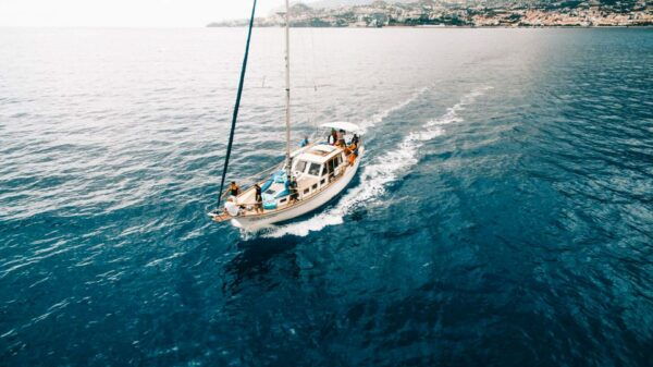 Funchal: Dolphin and Whale Watching Sunset Sailing Tour - Common Questions