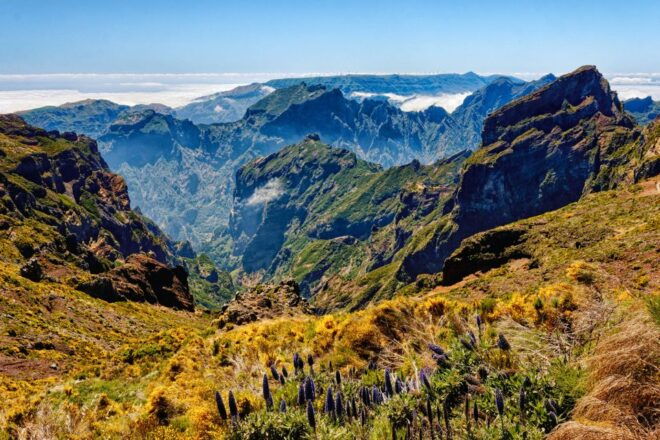 Funchal: East Madeira Island Guided Tour & Laurissilva Walk - Splendid Landscape of the Eastern Part of Madeira Island