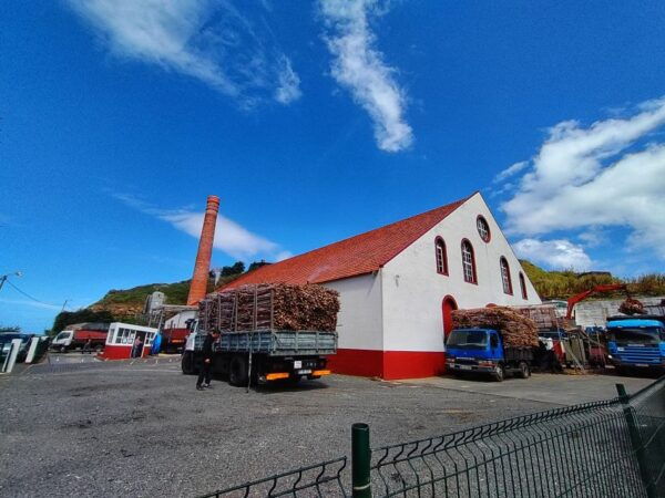Funchal: East Madeira Island Guided Tour & Laurissilva Walk - Common Questions
