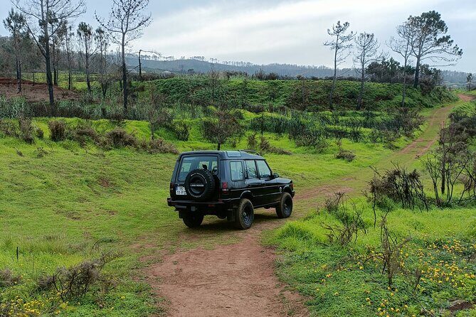 Funchal: Experiência 4WD Skywalk para Seixal Porto Moniz, Fanal - Good To Know: