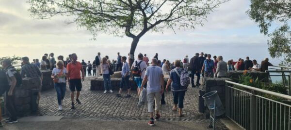 Funchal: Family Madeira Island Tour - Frequently Asked Questions