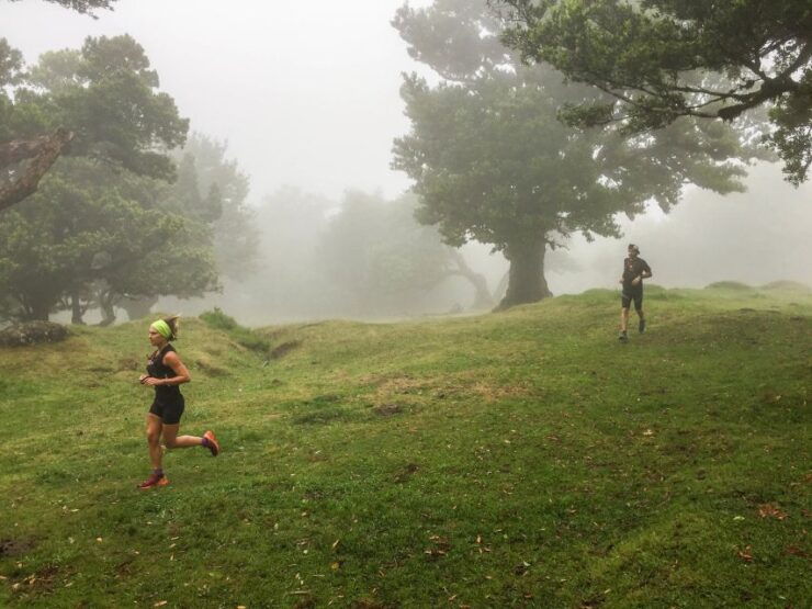 Funchal: Fanal Ancient Forest Running Tour - Experience Highlights