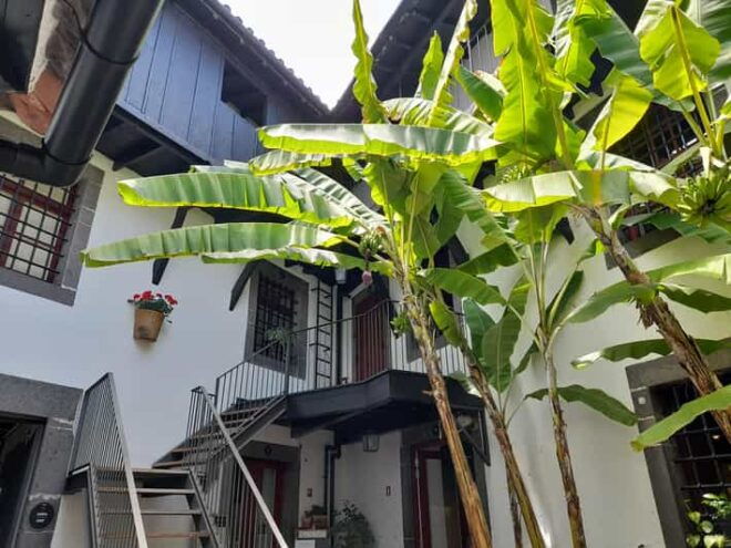 Funchal Flavours - Tour Guide and Language