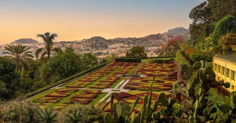 Funchal: Guided Old Town Tuk Tuk Tour and Botanical Gardens - The Highlight: Botanical Gardens
