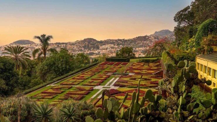 Funchal: Guided Tuk Tuk Tour and Botanical Gardens - Experience Highlights