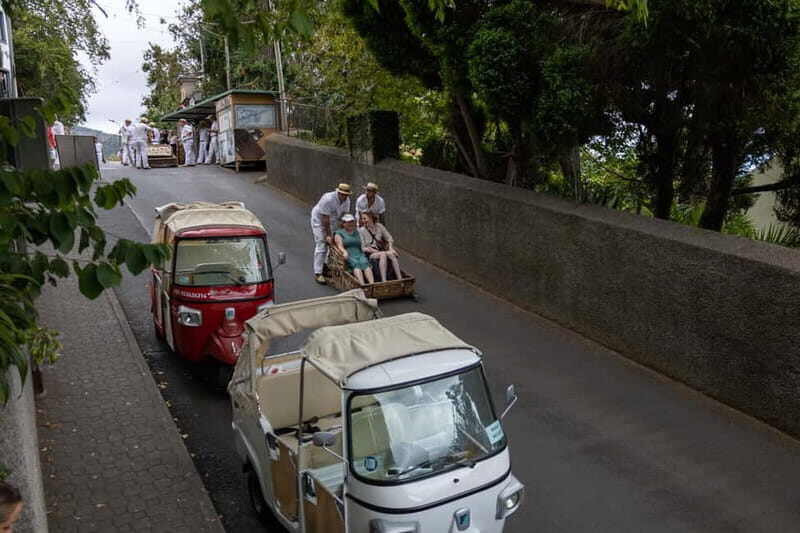 Funchal: Guided Tuk Tuk Tour to Toboggan Rides & Old Town - Good To Know