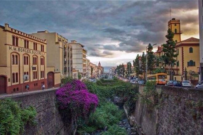 Funchal: H.M. Borges Winery Guided Tour With Wine Tasting - Booking and Cancellation Policy