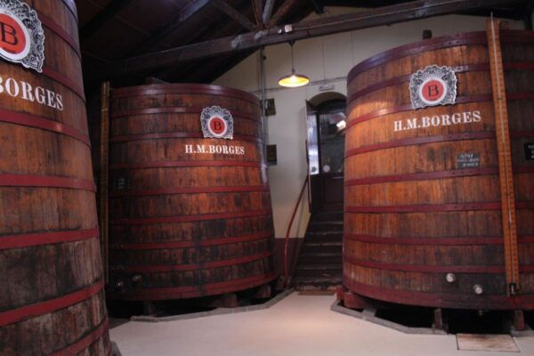 Funchal: H.M. Borges Winery Guided Tour With Wine Tasting - Inclusions
