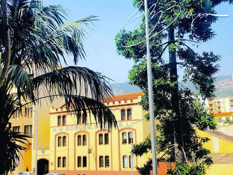 Funchal: H.M. Borges Winery Private Tour and Wine Tasting - What to Expect During the Tour  