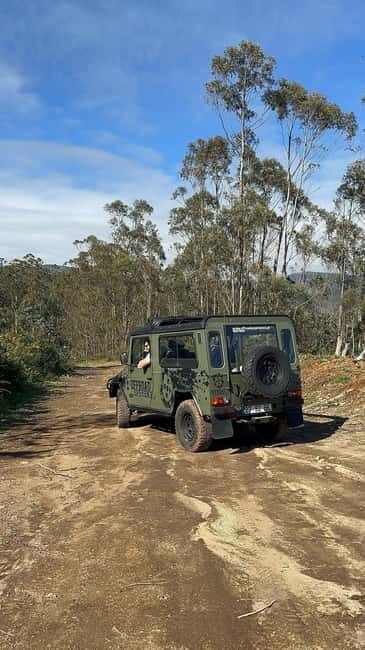 Funchal: Half-Day Jeep Tour with Cabo Girão Skywalk - Practical Details and Value