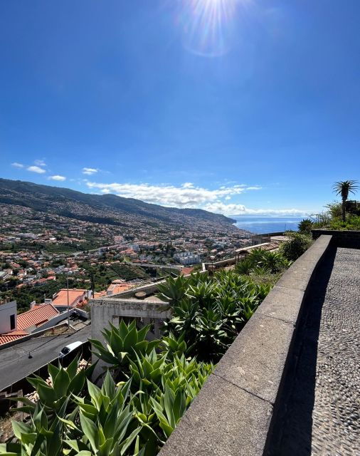 Funchal Historical Tuk-Tuk Guided Tour - Tour Highlights