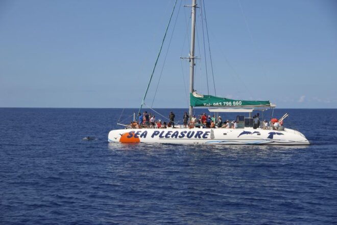 Funchal Hop-on Hop-off Bus Whale & Dolphin Watching by Boat - Bus Stops and Itinerary