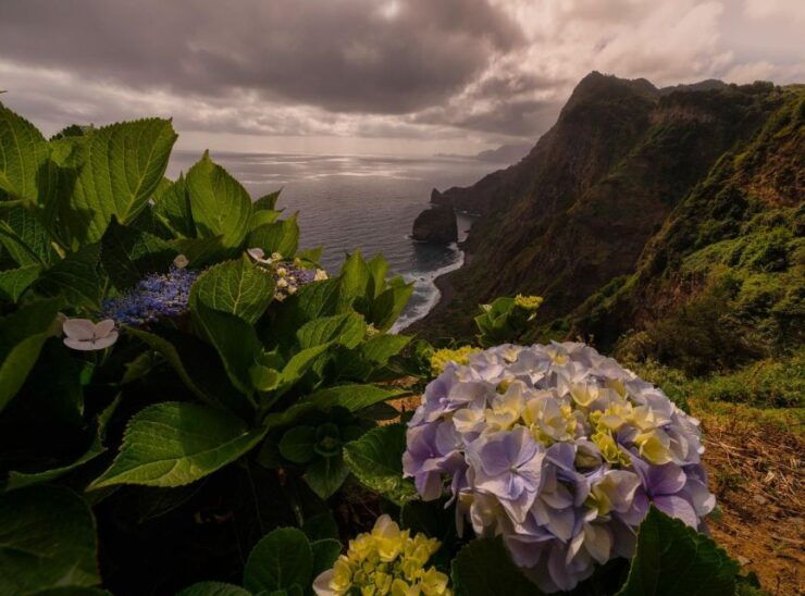 Funchal: Island Explorer Madeira by 4X4 North West - Tour Details
