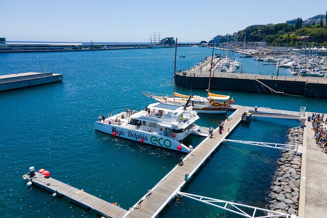 Funchal Islas Desertas Speedboat Half-Day Tour  - Madeira - Meeting and Pickup
