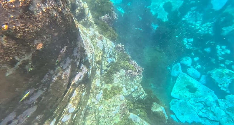 Funchal: Kayak and Snorkel Tour to Garajau NR - Good To Know