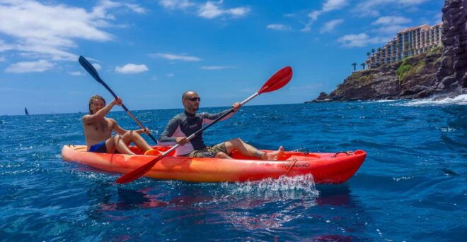 Funchal: KAYAK Rental or Guided Tour With Snorkeling - Customer Feedback and Ratings