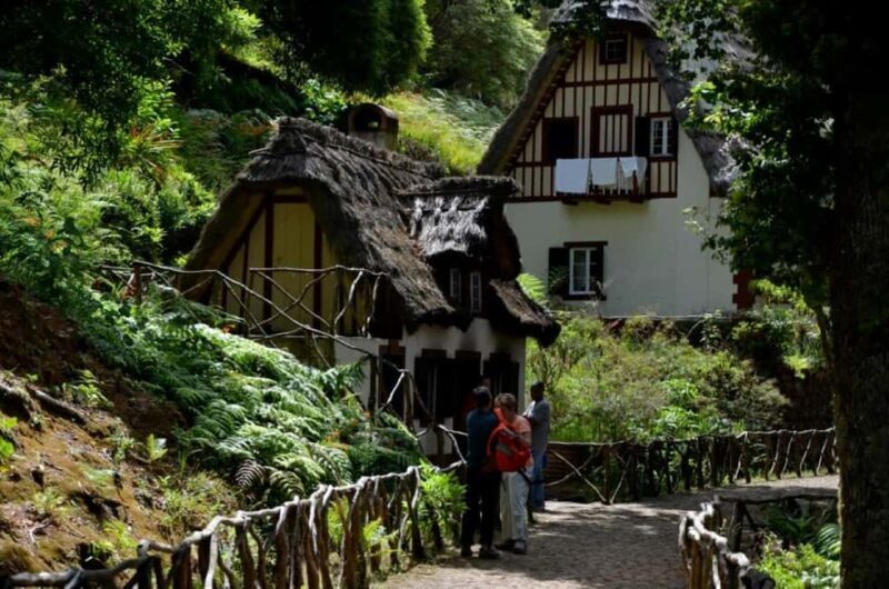Funchal: Levada Caldeirão Verde Waterfalls and Forests Hike - Who Will Love This Tour?