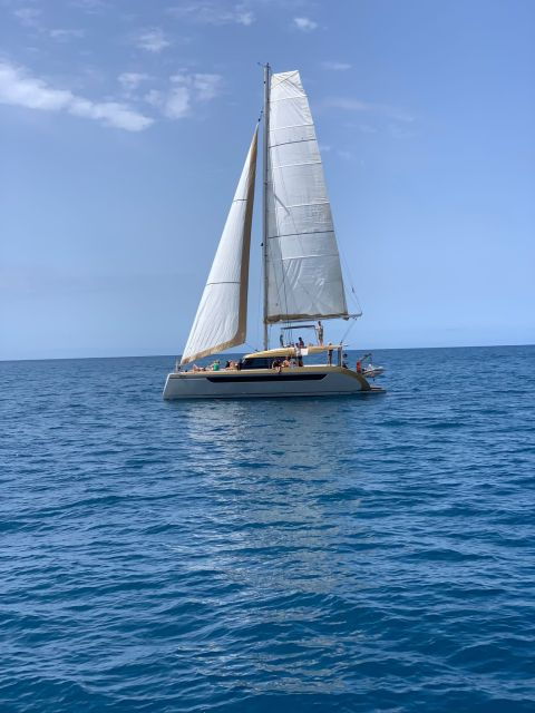Funchal: Luxury Catamaran Sunset Cruise - Activity Details and Highlights