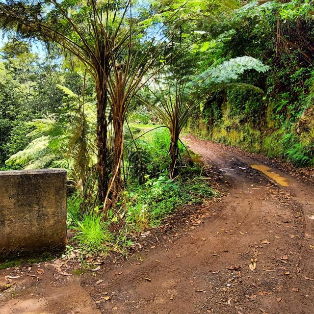 Funchal: Madeira Island 4x4 Private Customizable Tour - Booking Information