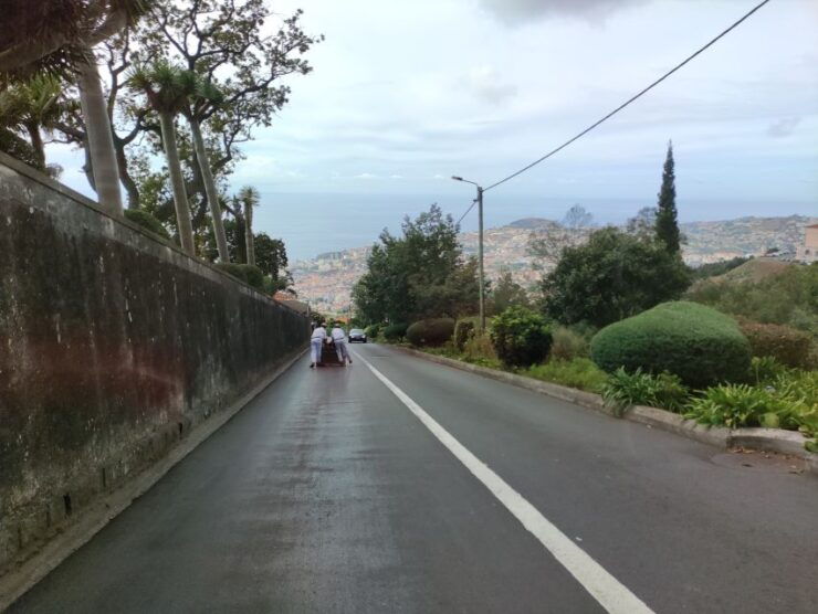 Funchal: Monte Experience by Tuk-Tuk - Activity Details