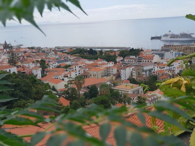 Funchal: Monte Experience by Tuk-Tuk - Customer Reviews