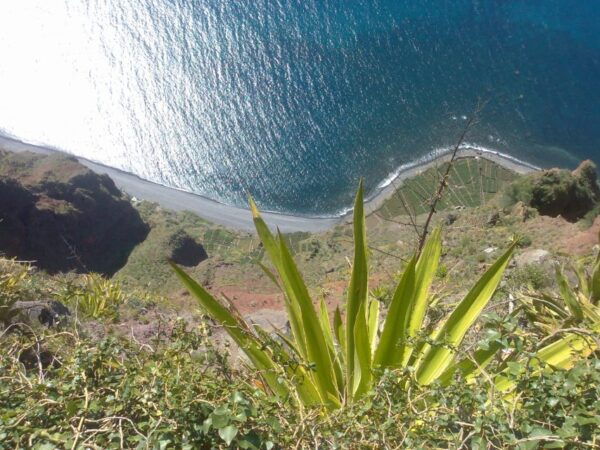 Funchal: Nuns Valley Private Half Day Tour - The Sum Up