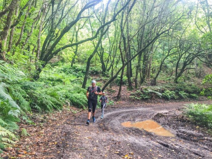 Funchal: Ocean to Mountain Running Tour - Experience Highlights