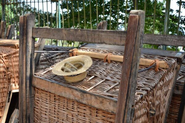 Funchal: Old Town Tour by Tuk Tuk With Traditional Toboggan - Additional Information