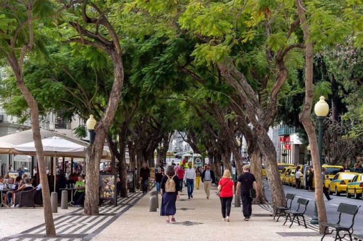 Funchal: Old Town Walking Tour - Activity Details