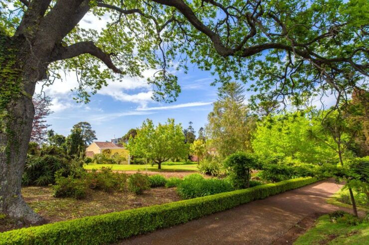 Funchal: Palheiro Gardens and Old Town Private Tuk Tuk Tour - Tour Details