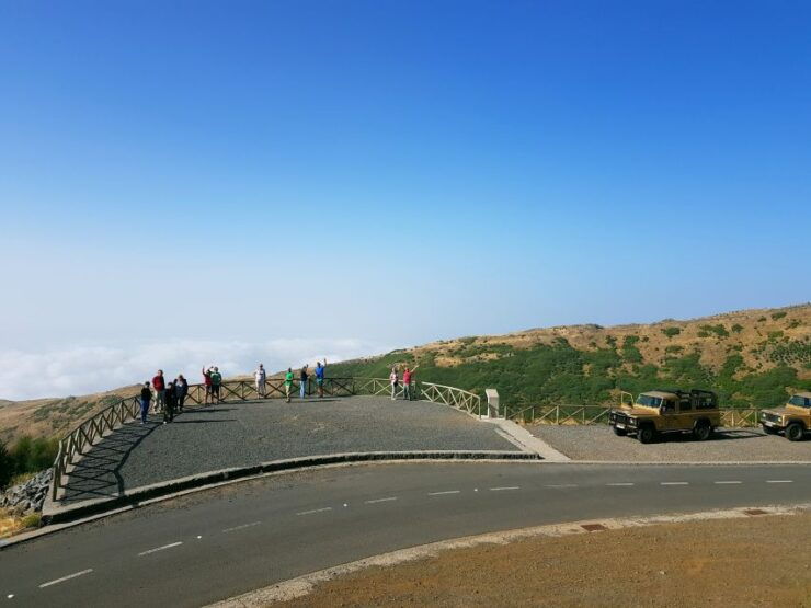 Funchal: Pico Do Areeiro, Cristo Rei and Dolphin Watching - Highlights