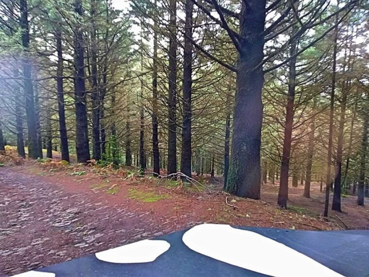 Funchal: Pico do Areeiro to Santana 4x4 East Tour - FAQs