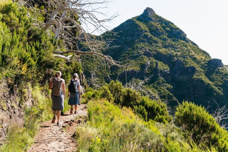 Funchal: Pico do Arieiro Sunrise Transfer Self-guided Hike - Transportation, Timing, and Group Size