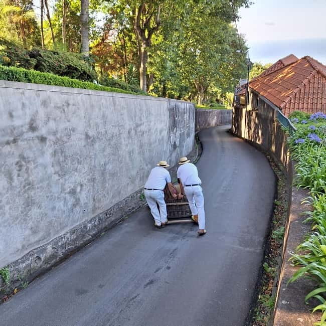Funchal: Private Cable Car, Toboggan, and Skywalk Tour - Funchal: Private Cable Car, Toboggan, and Skywalk Tour — A Detailed Look