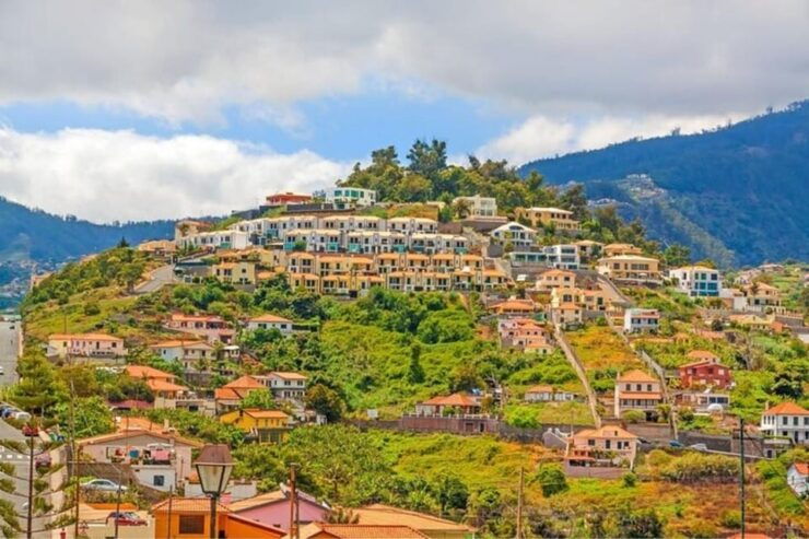Funchal : Private Custom Tour With a Local Guide - Booking Information