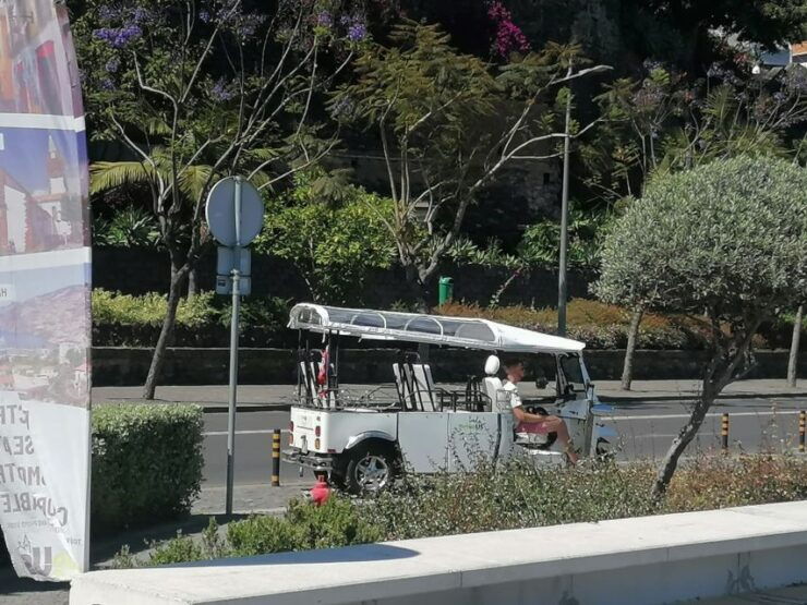 Funchal: Private Guided Tour of Historic Center by Tuk Tuk - Experience Highlights