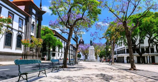 Funchal: Private Guided Tour on a Tuktuk - Suitability and Restrictions