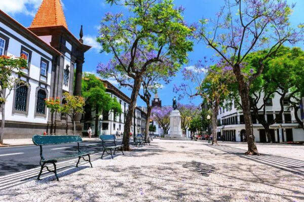 Funchal: Private Guided Tour on a Tuktuk - Frequently Asked Questions