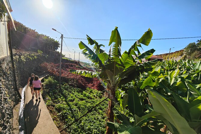 Funchal Private Half-Day 4x4 Sightseeing Tour  - Madeira - Common Questions