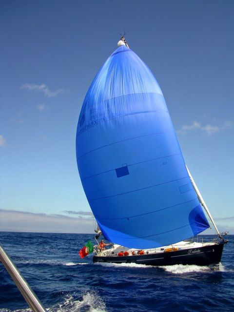 Funchal: Private Half Day Sailing Cruises - Reservation