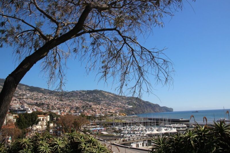 Funchal: Private Walking Tour with a Local - What to Expect from Your Funchal Private Walking Tour