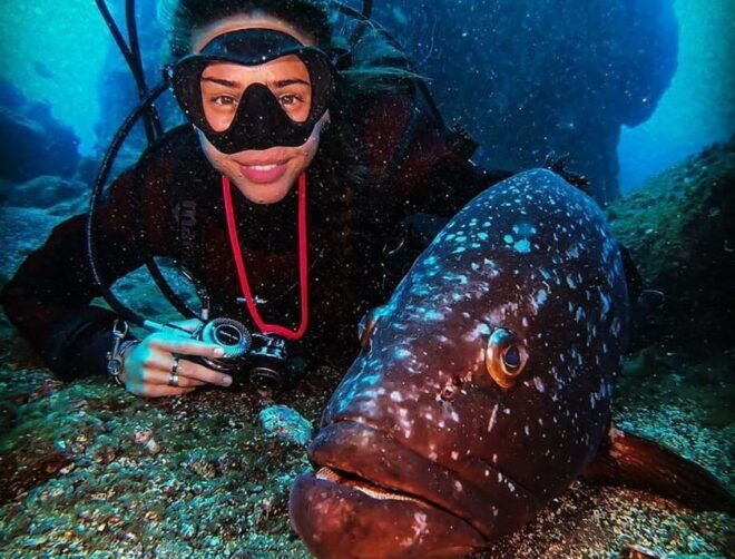 Funchal: Scuba Diving Experience for Beginners - Certificate of Participation