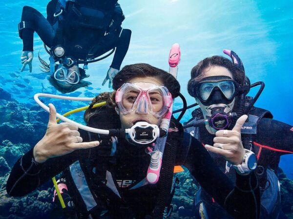 Funchal: Scuba Diving Experience for Beginners - Funchals Protected Area Dive