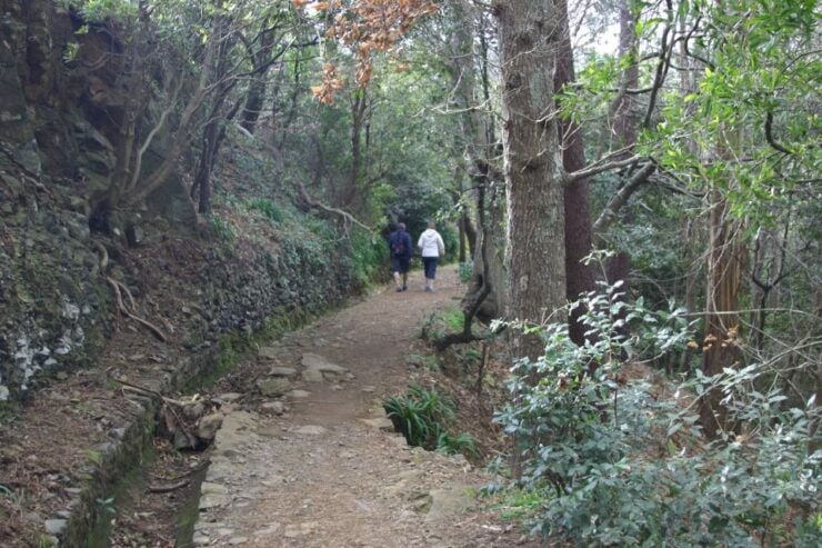 Funchal: Sea and Mountain Views Hidden Forest Hike - Activity Details