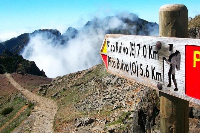 Funchal Small-Group Eastern Madeira Tour - Unique Experiences and Surprises