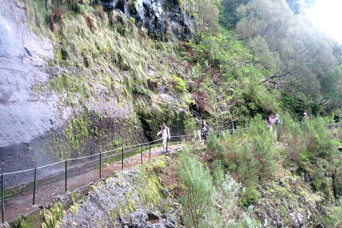 Funchal Small-Group Full-Day 25 Water Springs Walk  - Madeira - Overview and Highlights