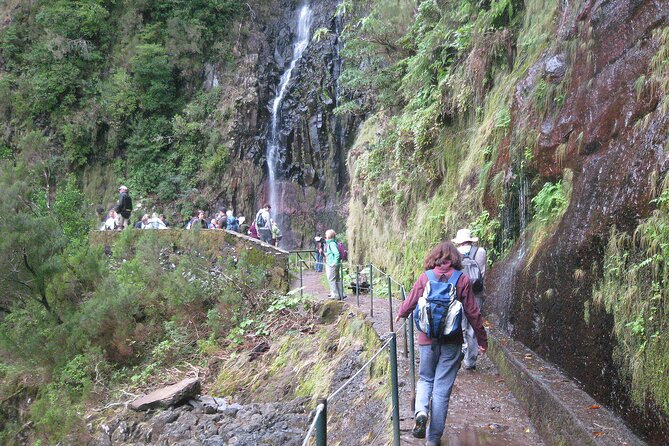 Funchal Small-Group Full-Day 25 Water Springs Walk  - Madeira - Cancellation Policy
