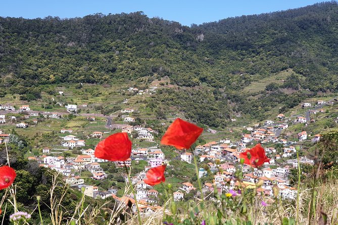Funchal Small-Group Marocos to Mimosa Valley Hike - Overview and Itinerary